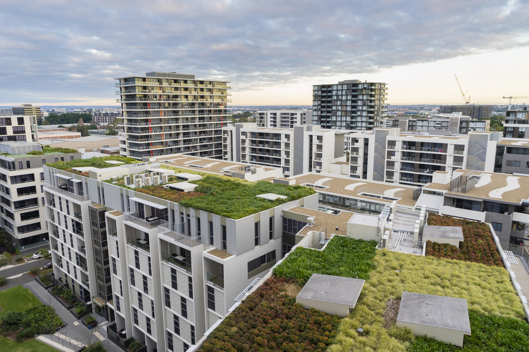 The Benefits of Green Roofing for Commercial Buildings image